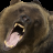 Bear Icon